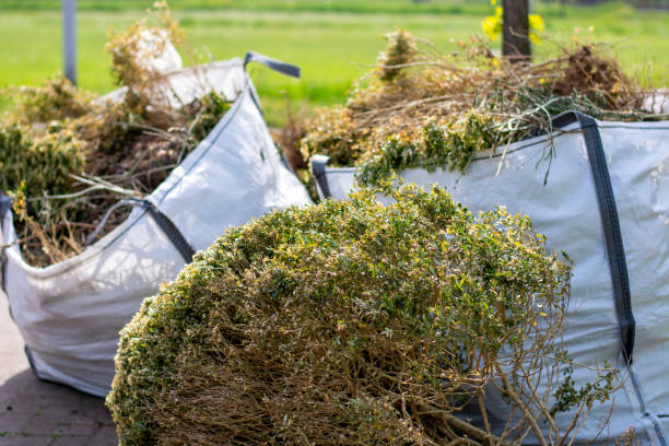 Best Dumpster Rental Services  in Sneedville, TN